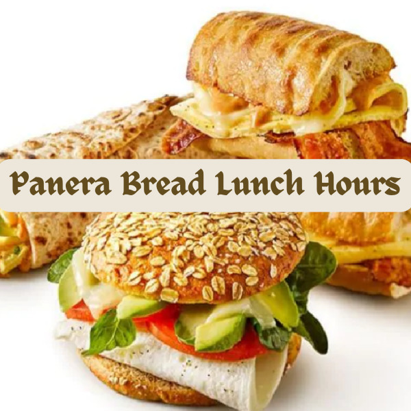 Panera Bread Lunch Hours