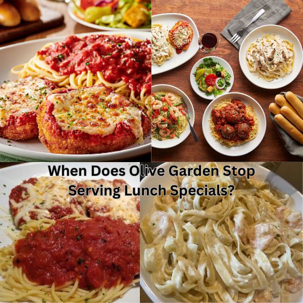 When Does Olive Garden Stop Serving Lunch Specials?